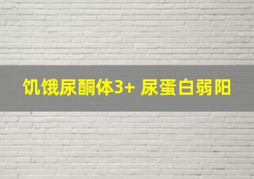 饥饿尿酮体3+ 尿蛋白弱阳